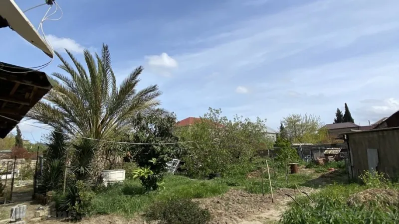 Satılır Torpaq 6 sot Saray - şəkil 4