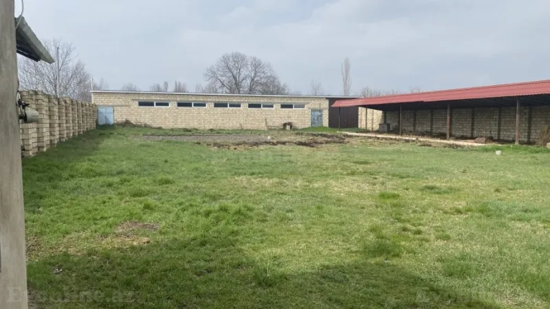 Kirayə verilir Torpaq 15 sot Qusar - şəkil 9