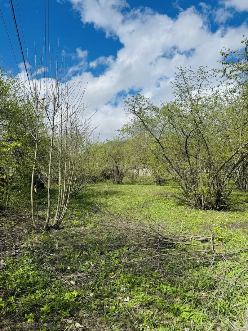 Satılır Torpaq 3 sot Qəbələ - şəkil 2