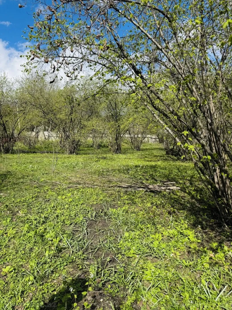 Satılır Torpaq 3 sot Qəbələ - şəkil 4