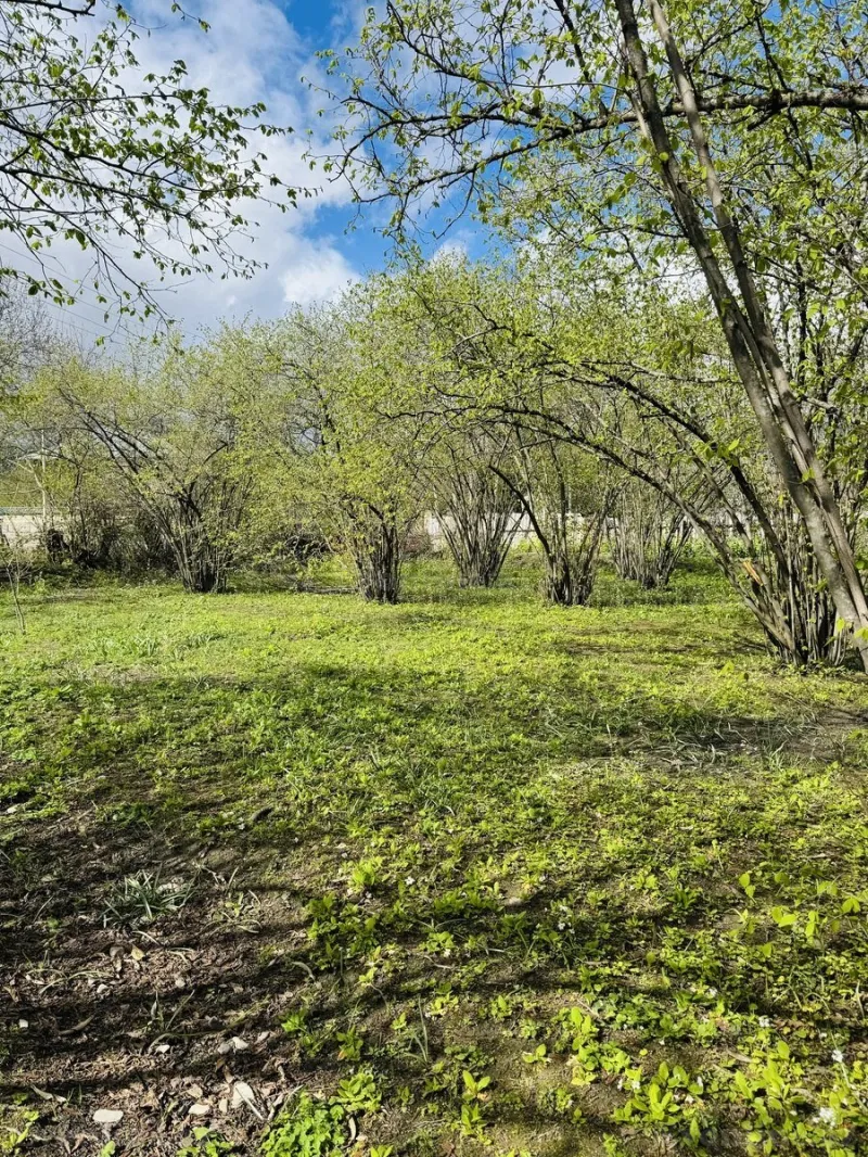 Satılır Torpaq 3 sot Qəbələ - şəkil 8