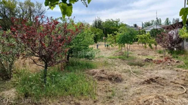 Torpaq Şüvəlan Satılır