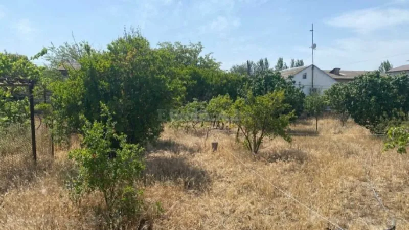 Satılır Torpaq 13 sot Şüvəlan - şəkil 2