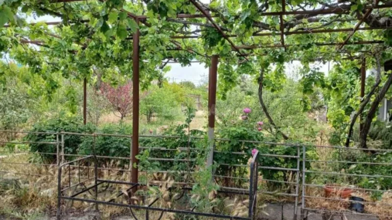 Satılır Torpaq 13 sot Şüvəlan - şəkil 7