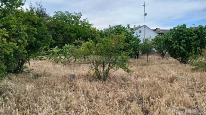 Satılır Torpaq 13 sot Şüvəlan - şəkil 8