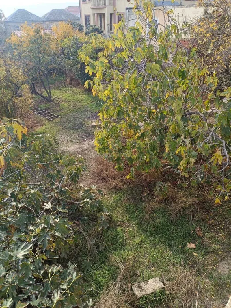 Satılır Torpaq 4 sot Abşeron r. - şəkil 3