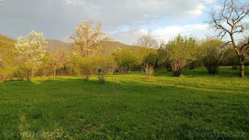 Kirayə verilir Obyekt 3200 m² Zaqatala - şəkil 4