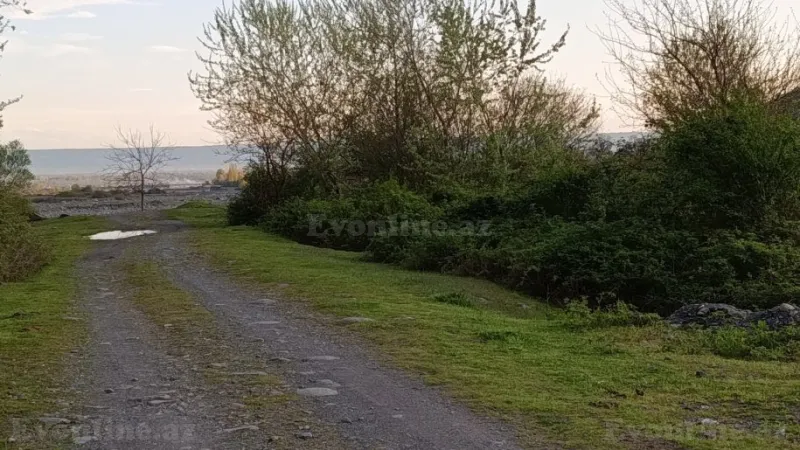 Kirayə verilir Obyekt 3200 m² Zaqatala - şəkil 8