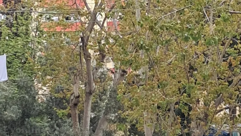 Satılır 3 otaqlı Mənzil Köhnə tikili 80 m² Həzi Aslanov - şəkil 4