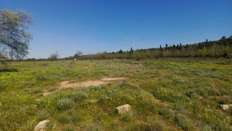 Satılır Obyekt 1000 m² Hacıqabul - şəkil 6