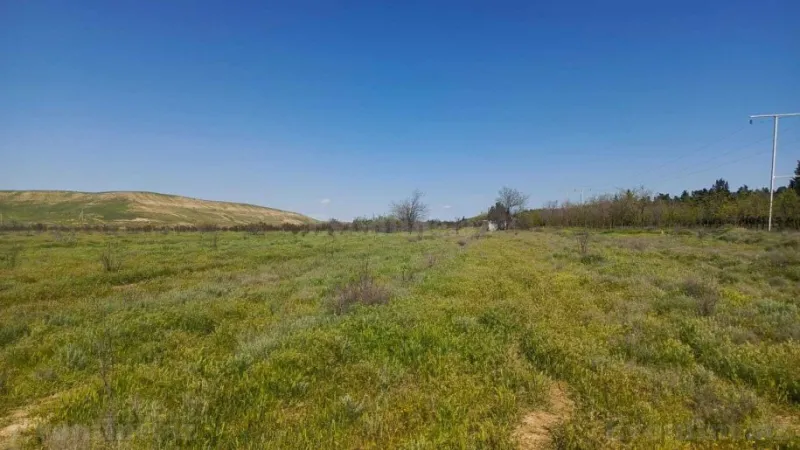 Satılır Obyekt 1000 m² Hacıqabul - şəkil 24