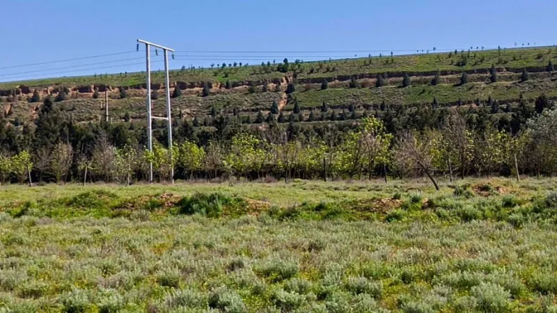 Satılır Obyekt 1000 m² Hacıqabul - şəkil 28