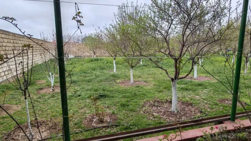 Satılır Torpaq 16 sot Binə - şəkil 3