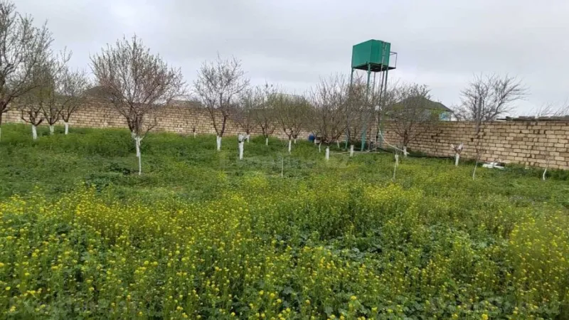 Satılır Torpaq 16 sot Binə - şəkil 4