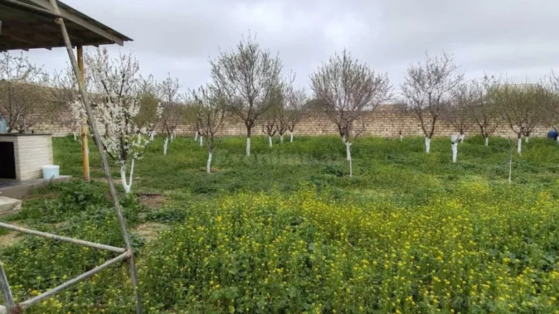 Satılır Torpaq 16 sot Binə - şəkil 5