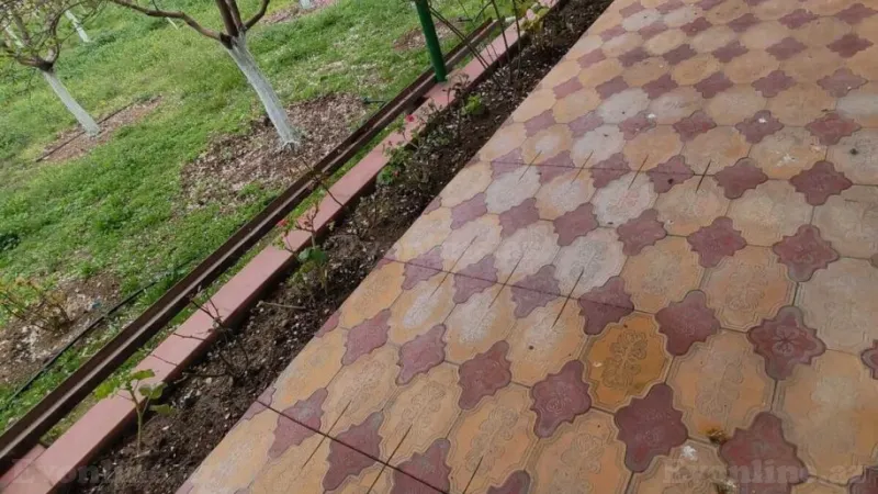 Satılır Torpaq 16 sot Binə - şəkil 13