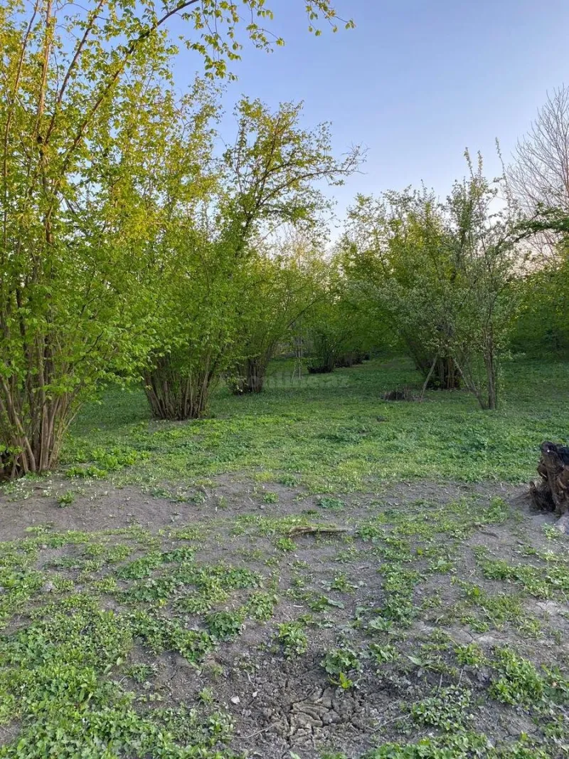 Torpaq Qəbələ Satılır