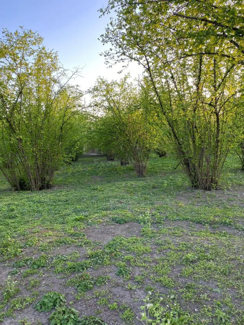 Satılır Torpaq 24 sot Qəbələ - şəkil 2