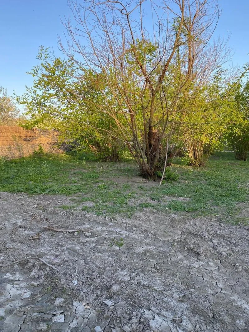 Satılır Torpaq 24 sot Qəbələ - şəkil 3