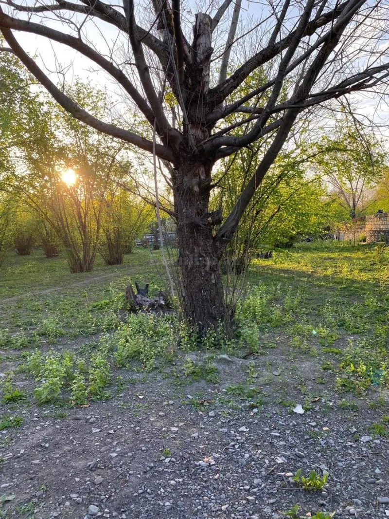 Satılır Torpaq 24 sot Qəbələ - şəkil 4