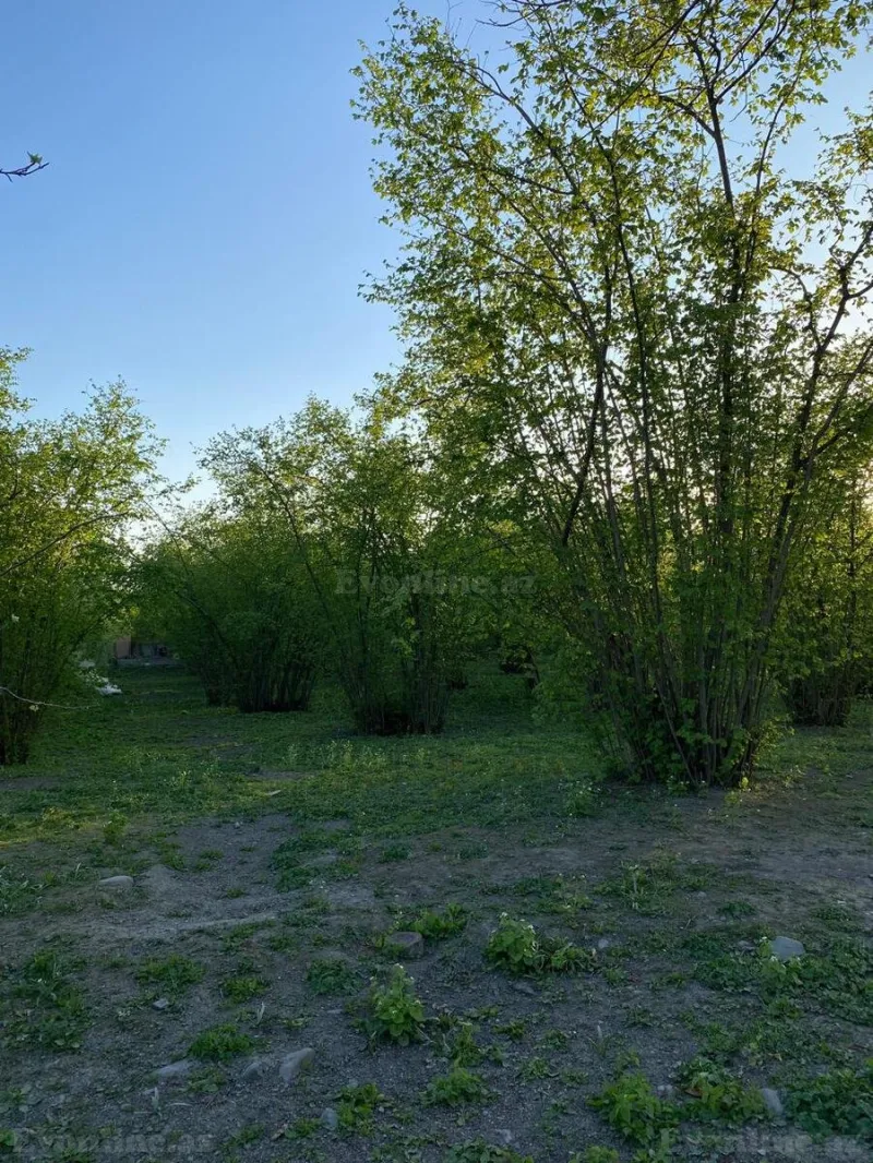 Satılır Torpaq 24 sot Qəbələ - şəkil 5