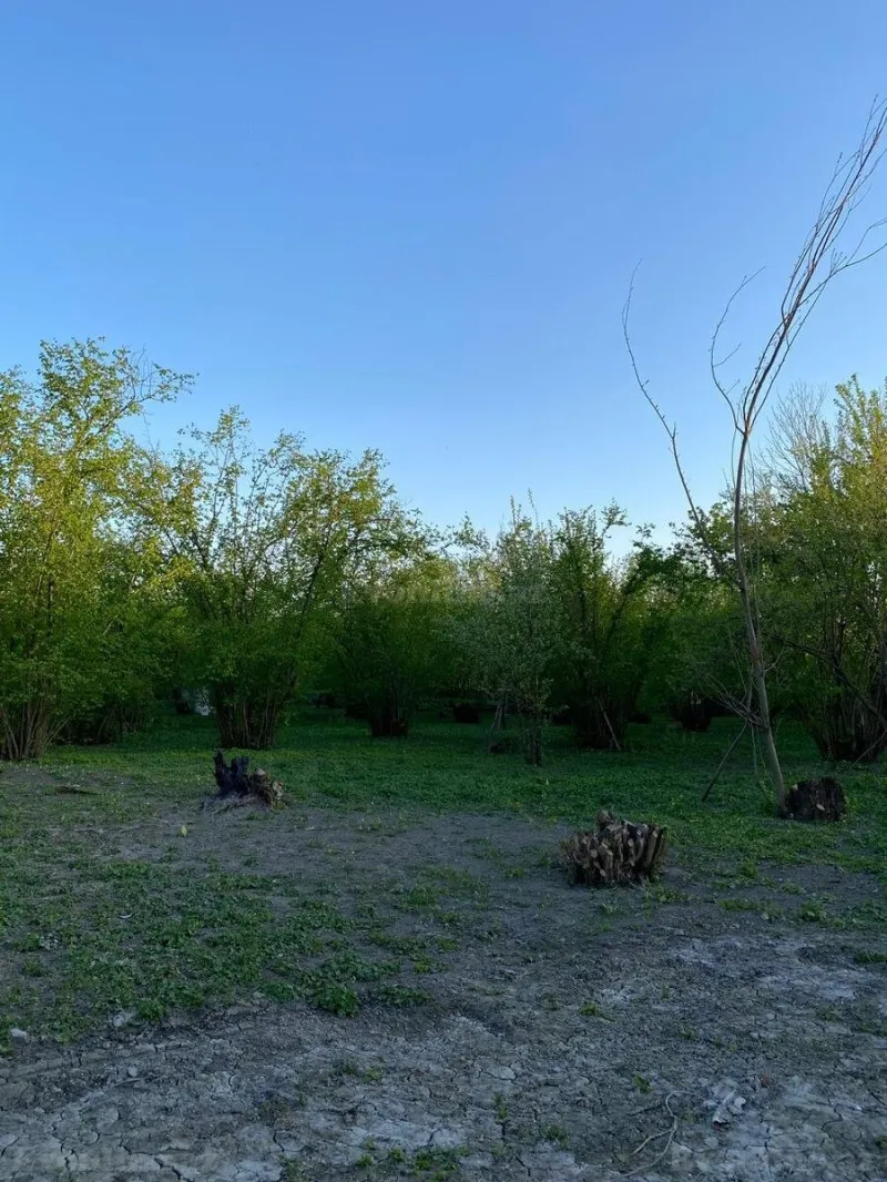 Satılır Torpaq 24 sot Qəbələ - şəkil 6