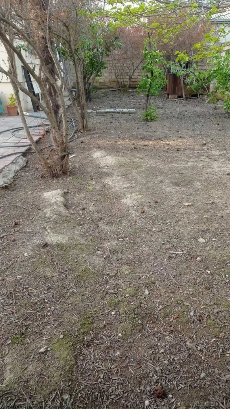 Satılır Torpaq 11.5 sot Badamdar - şəkil 2