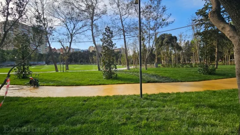 3 otaqlı Mənzil 103 m² Nərimanov r. Satılır