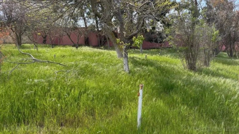 Satılır Torpaq 10 sot Novxanı - şəkil 2