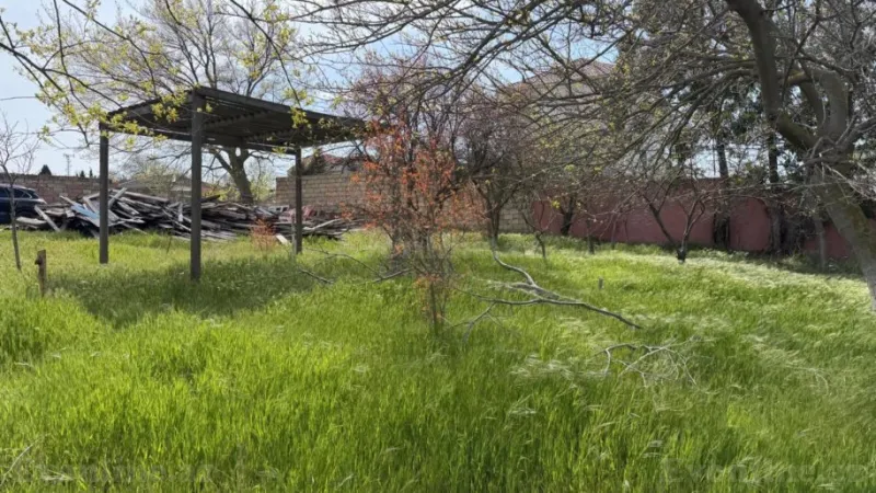 Satılır Torpaq 10 sot Novxanı - şəkil 4