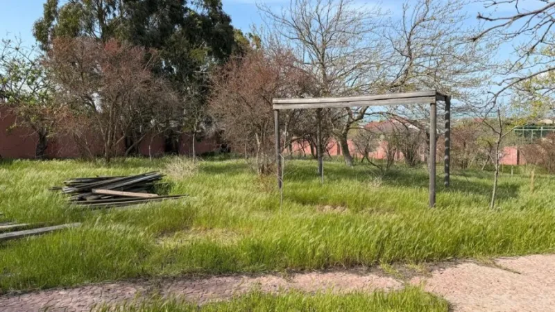 Satılır Torpaq 10 sot Novxanı - şəkil 6