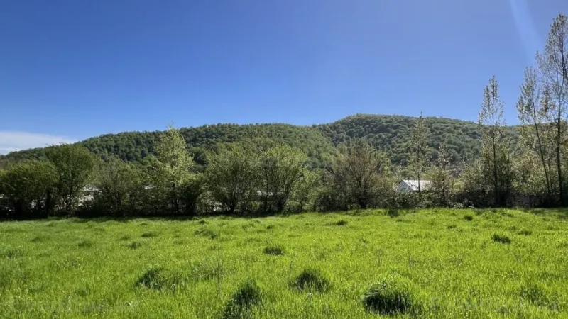 Satılır Torpaq 17.5 sot Qəbələ