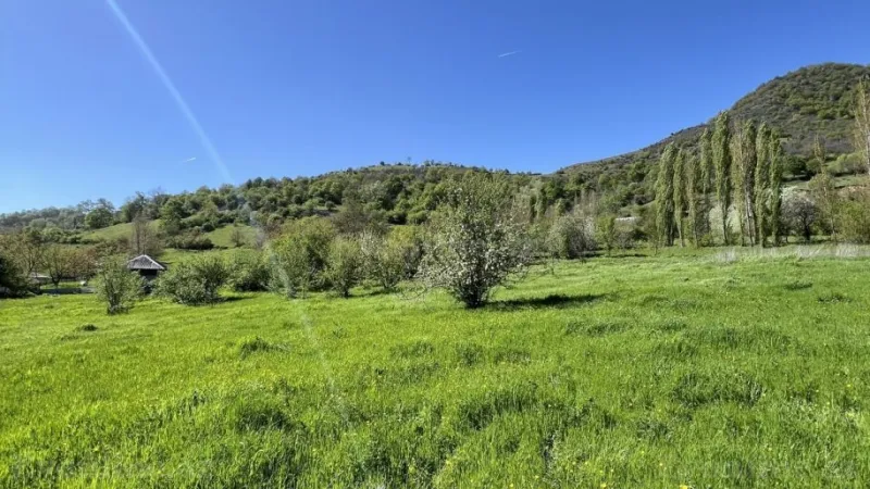 Satılır Torpaq 17.5 sot Qəbələ - şəkil 2