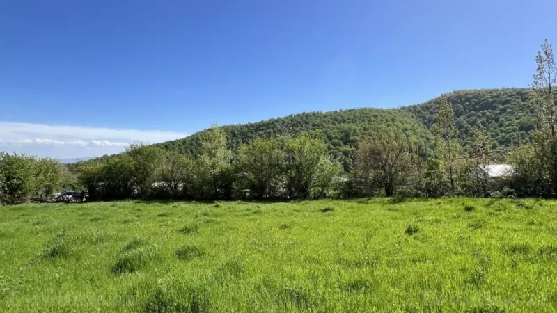 Satılır Torpaq 17.5 sot Qəbələ - şəkil 3