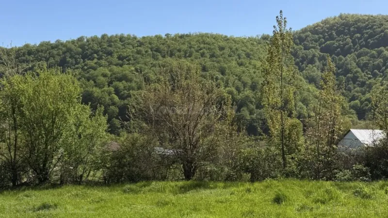 Satılır Torpaq 17.5 sot Qəbələ - şəkil 6