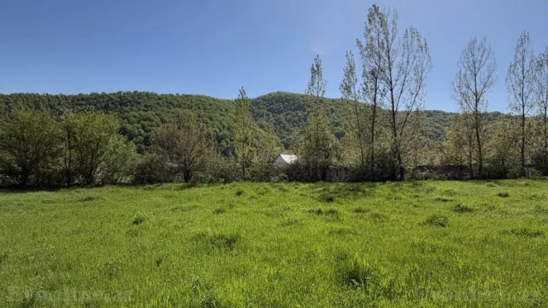 Satılır Torpaq 17.5 sot Qəbələ - şəkil 7