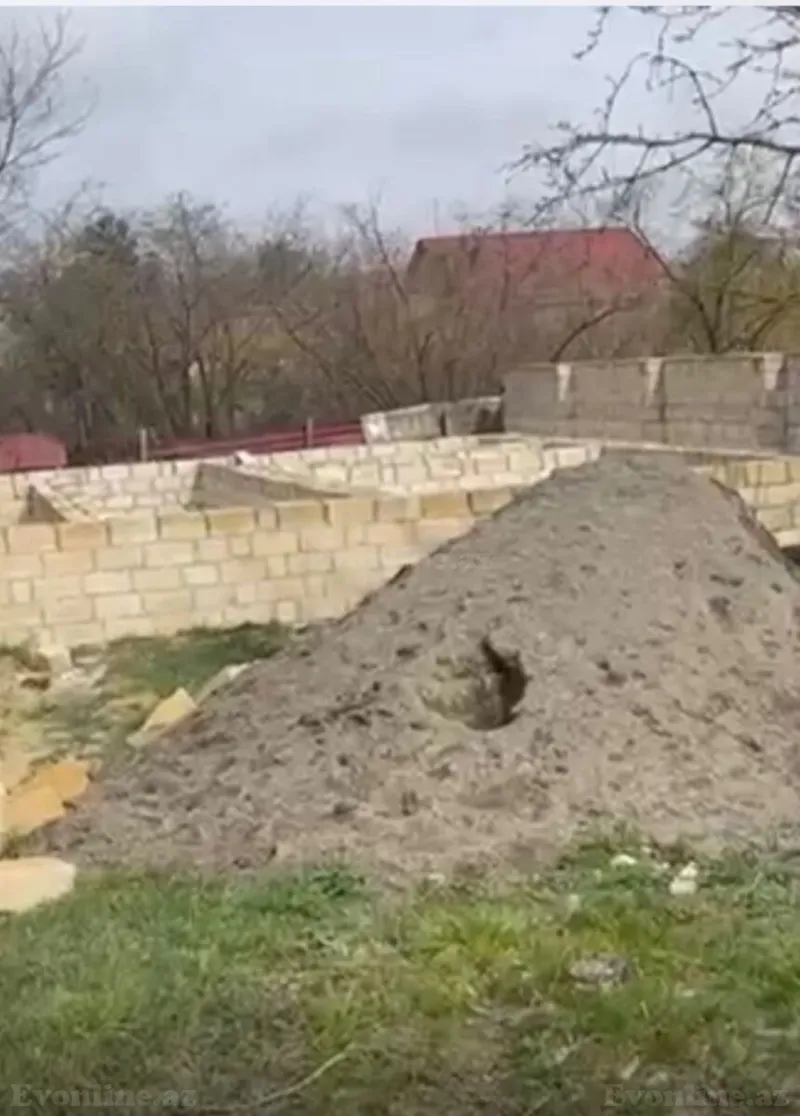 Satılır Torpaq 5 sot Quba - şəkil 3