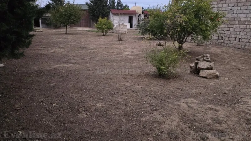 Torpaq Sabunçu r. Satılır