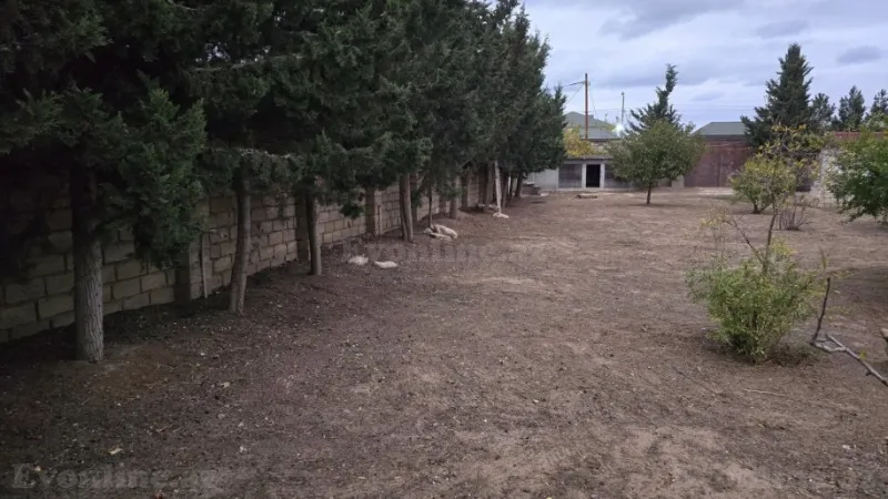 Satılır Torpaq 12 sot Sabunçu r. - şəkil 3