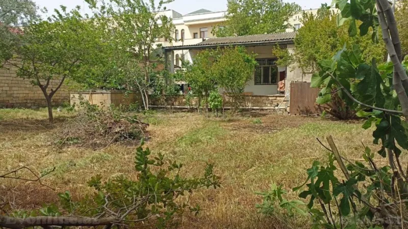 Torpaq Badamdar Satılır