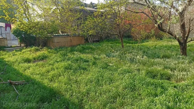 Satılır Torpaq 7.7 sot Badamdar - şəkil 2