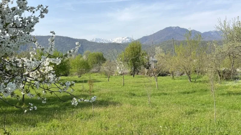 Satılır Torpaq 44 sot Qəbələ - şəkil 5