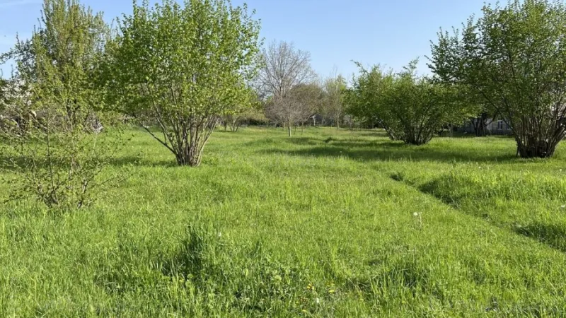 Satılır Torpaq 44 sot Qəbələ - şəkil 6