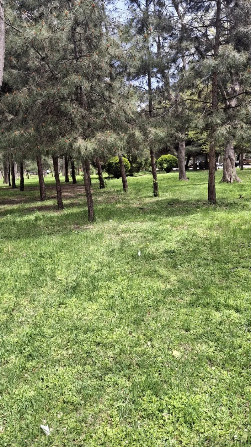 Satılır 4 otaqlı Mənzil Yeni tikili 185 m² Nərimanov r. - şəkil 7