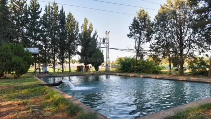 Satılır Torpaq 5000 sot Salyan - şəkil 2