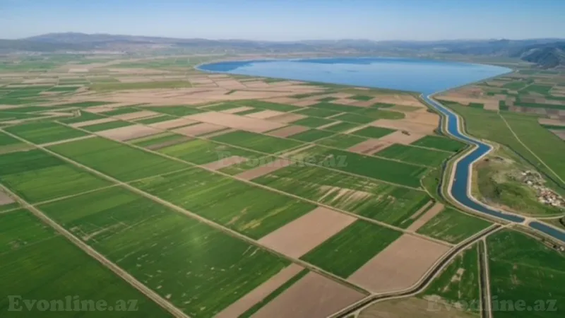 Satılır Torpaq 5000 sot Salyan - şəkil 3