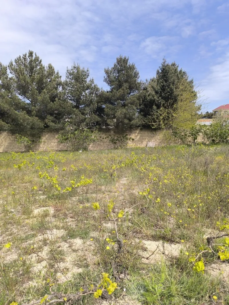 Satılır Torpaq 2 sot Novxanı - şəkil 4