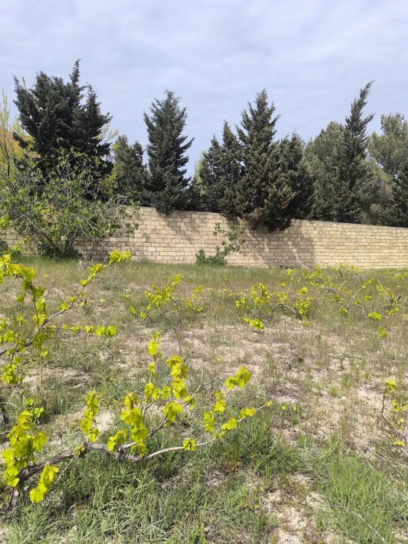 Satılır Torpaq 2 sot Novxanı - şəkil 5