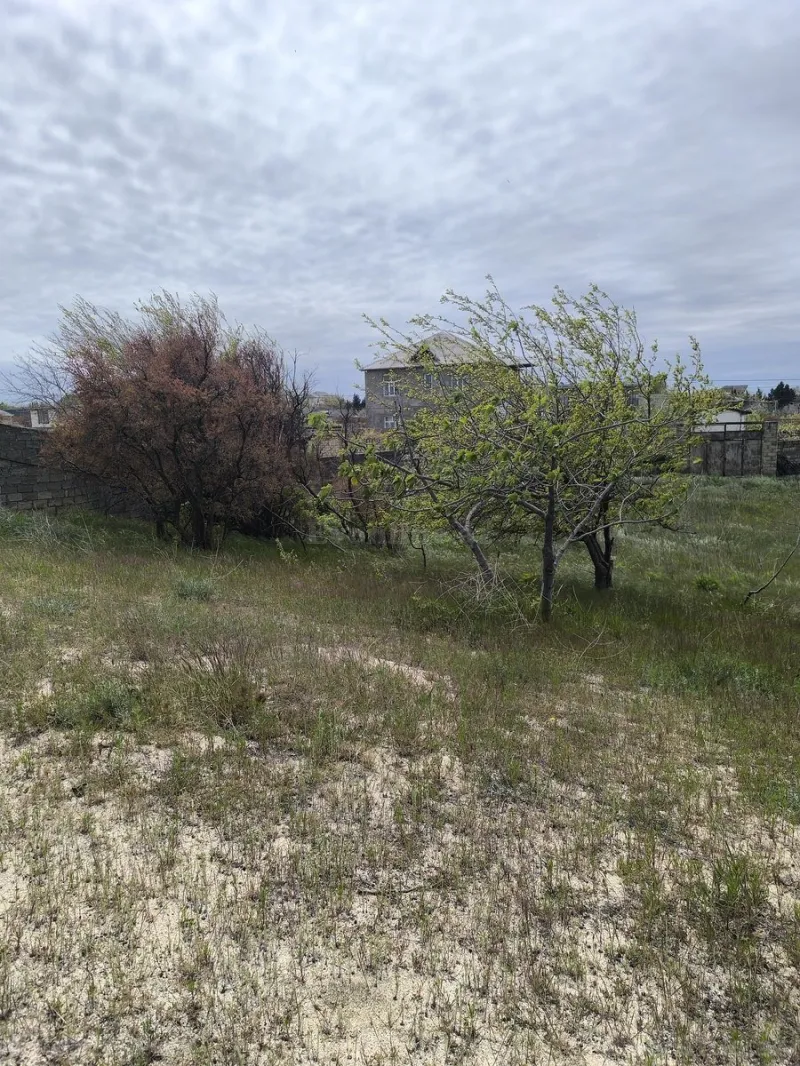 Satılır Torpaq 2 sot Novxanı - şəkil 6