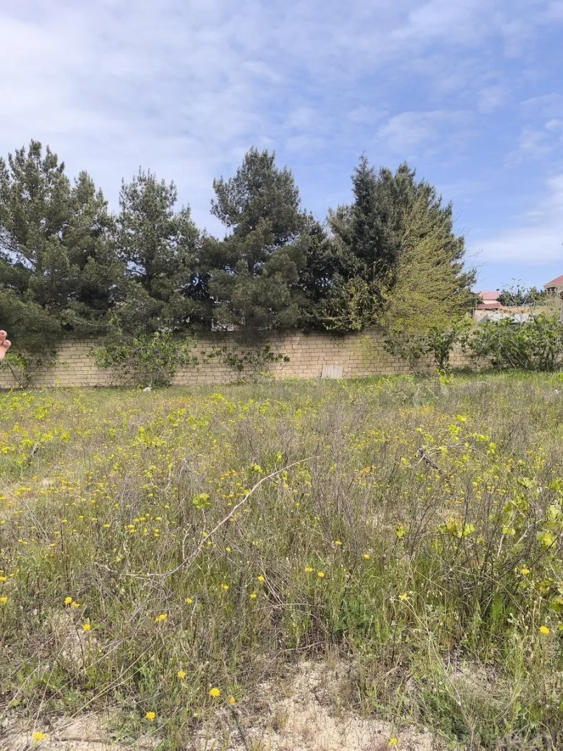 Satılır Torpaq 2 sot Novxanı - şəkil 7